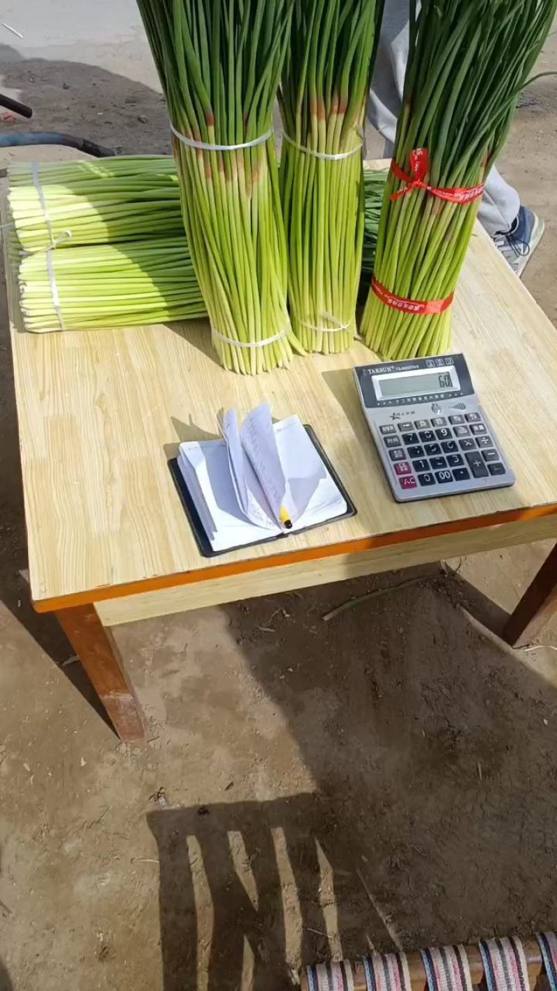 淮阳红帽蒜苔，干苔，大量供应，对接电商，商超，库存，全网