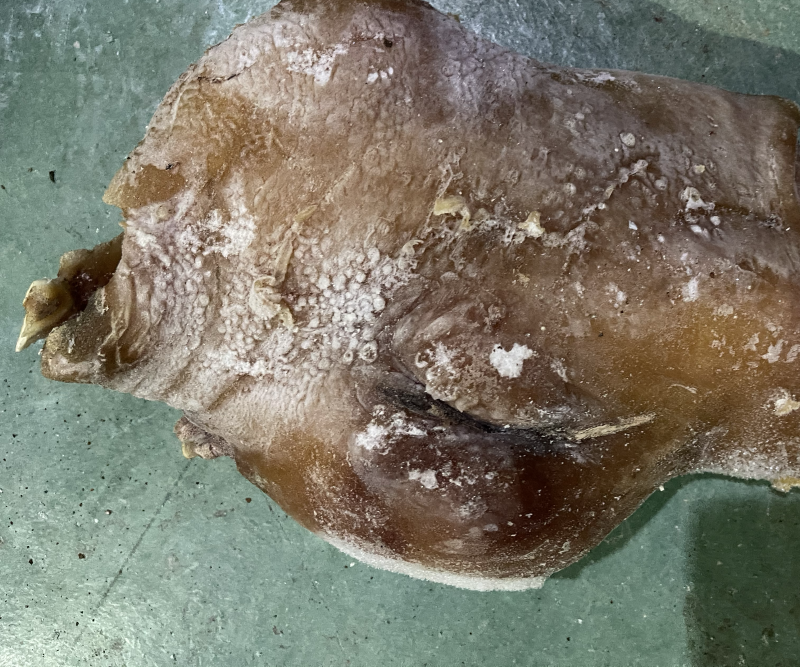 精品清真带丝牛头皮货量充足量大从优欢迎老板联系我！