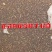 肉苁蓉种子精品肉苁蓉籽内蒙古肉苁蓉种子