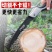锯树锯子家用小型手持木工据木头快速手工折叠锯刀锯伐木神器