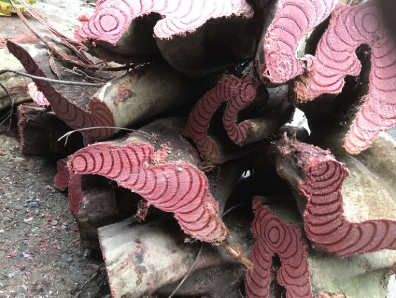 鸡血藤一手货源产地批发零售