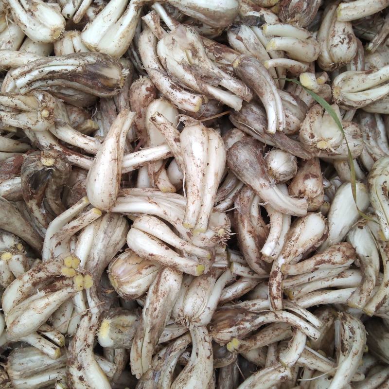 原生态的菜品