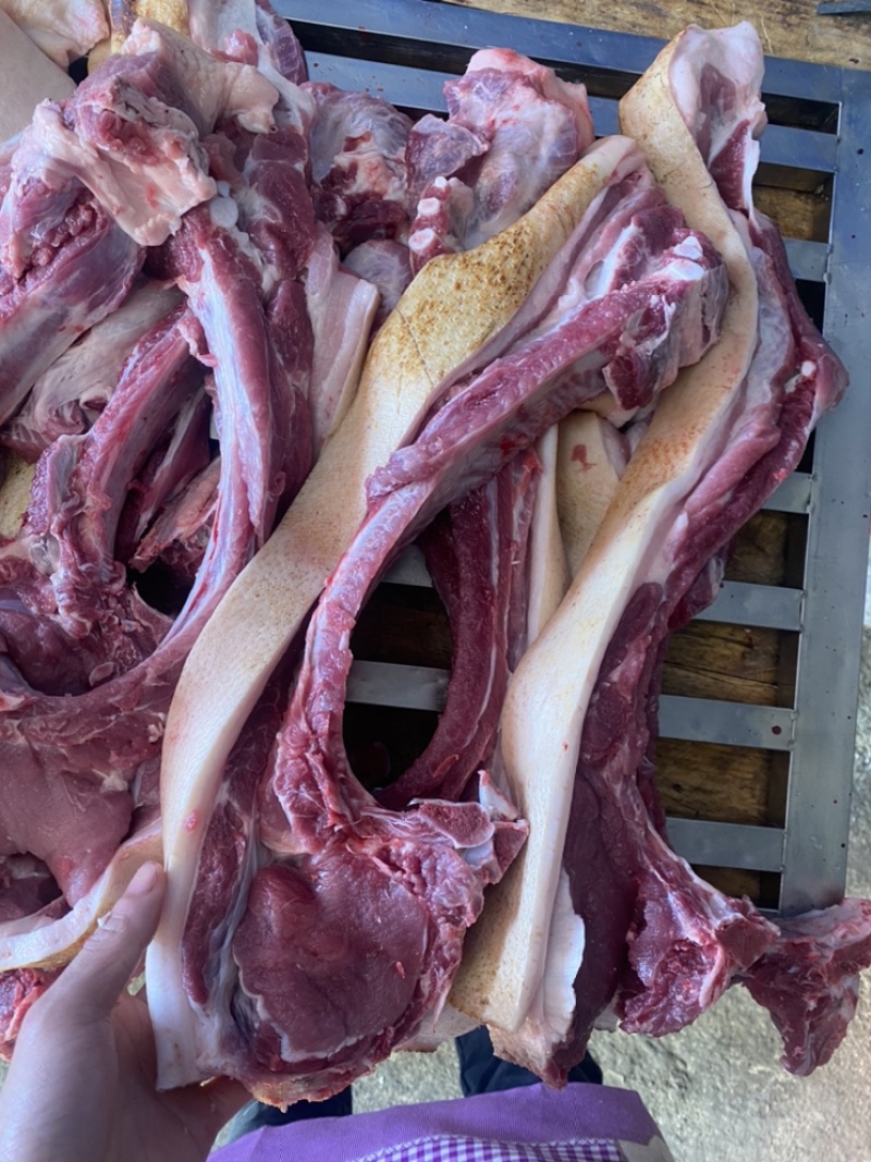 广宁放山土猪肉，养1年半以上