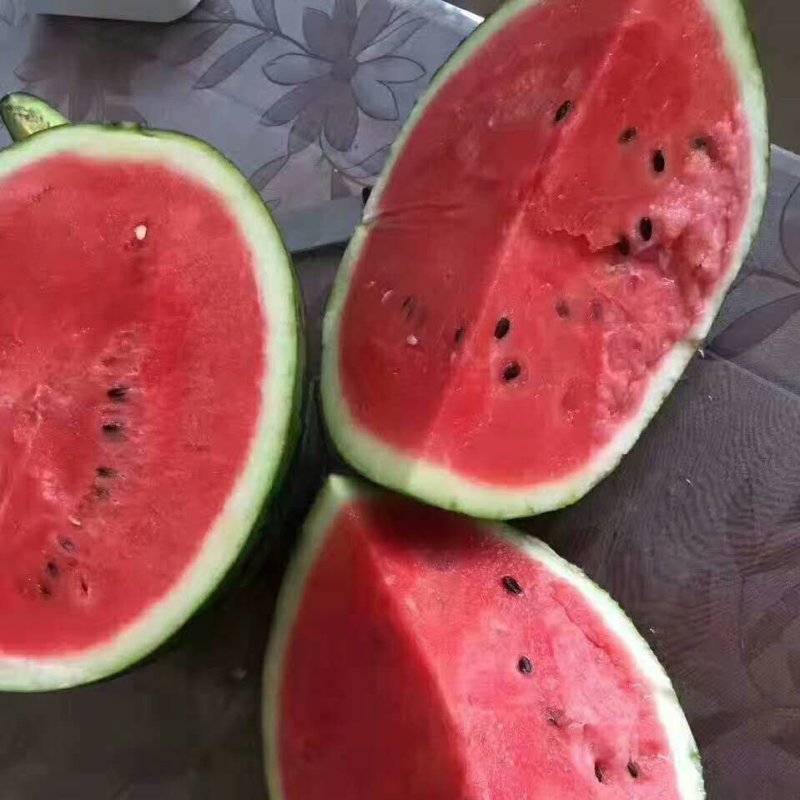 山东潍坊甜王西瓜
