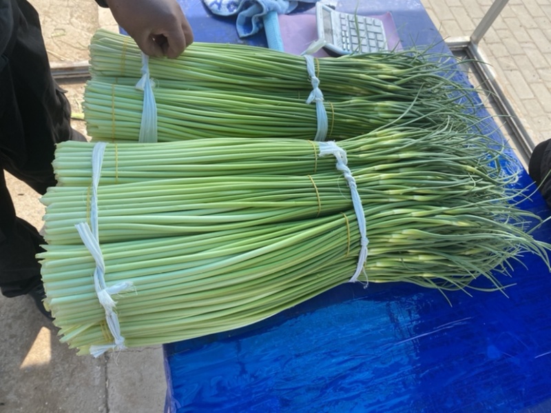 蒜薹：白帽蒜苔/干苔无泡水/产地直发/保质保量60~70
