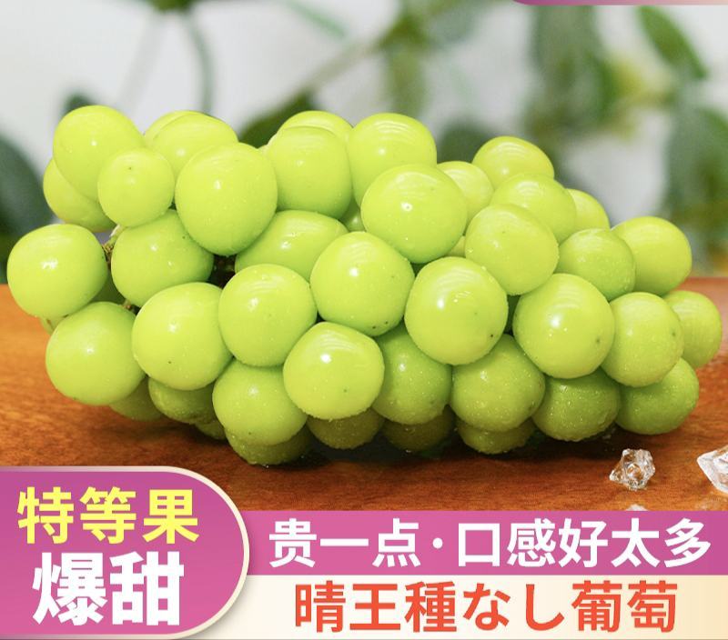 阳光玫瑰葡萄，产自浙江省台州市三门县，天然小气候。