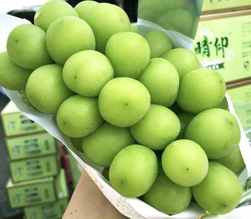 阳光玫瑰葡萄，产自浙江省台州市三门县，天然小气候。