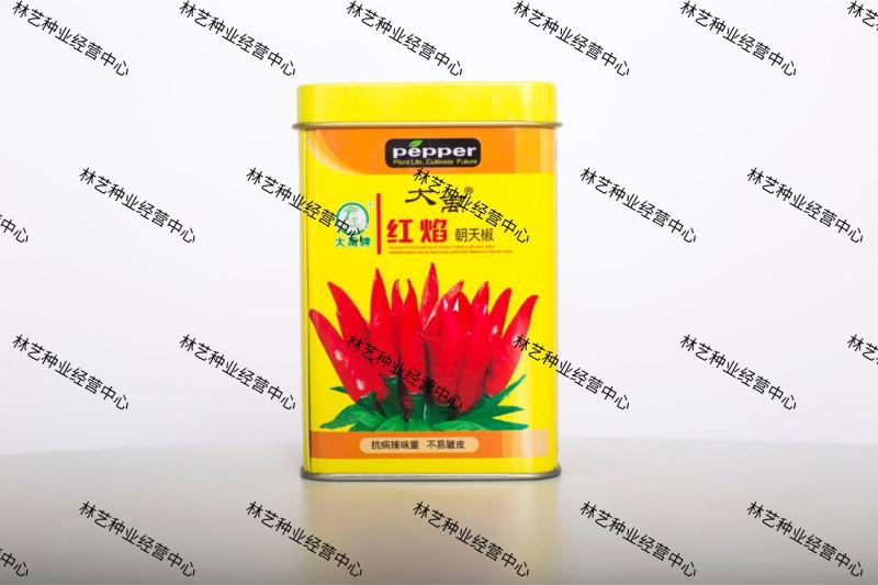 火焰朝天椒种子种籽辣椒苗小米辣小米椒四季盆栽蔬菜苗幼苗