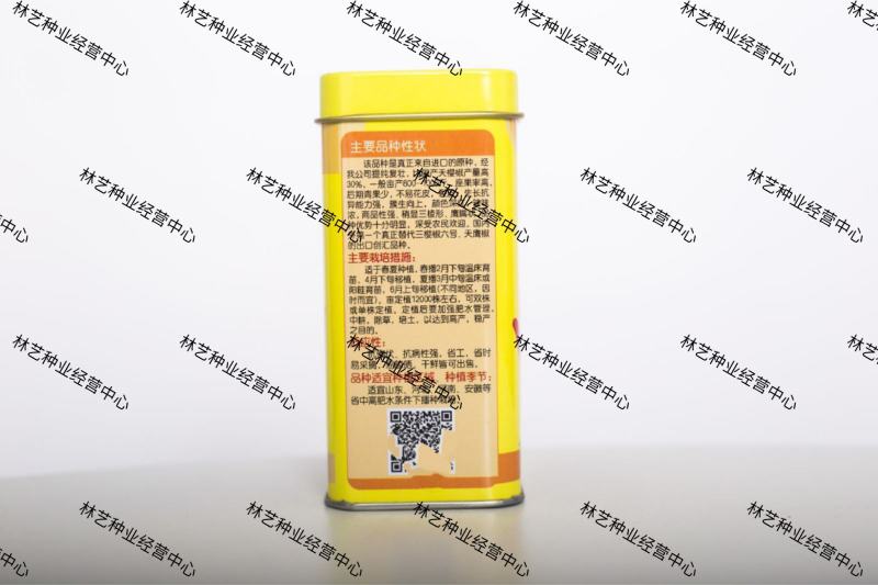 火焰朝天椒种子种籽辣椒苗小米辣小米椒四季盆栽蔬菜苗幼苗