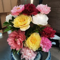 进口芍药鲜切花～巴茨拉、红富士、蓝富士、莎拉、杨妃出浴