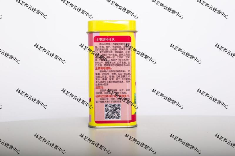 大禹红满天朝天椒辣椒种籽高产春秋播超辣长红朝天椒种子