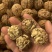 [热卖]云南薄皮核桃，皮薄肉厚，好质量产品