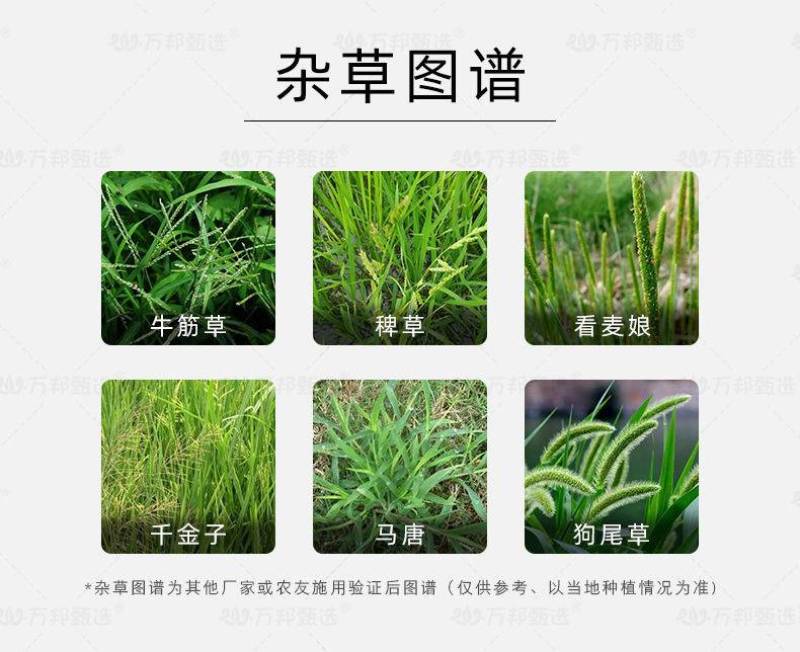 侨昌好盖高效氟吡甲禾灵大豆除草苗后除草剂农药