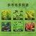 侨昌好盖高效氟吡甲禾灵大豆除草苗后除草剂农药