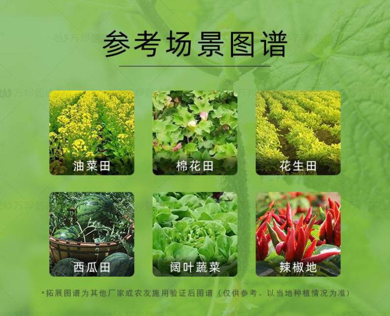 侨昌好盖高效氟吡甲禾灵大豆除草苗后除草剂农药