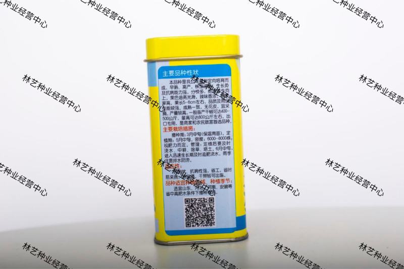 红将军朝天椒种子种籽大田小米辣小米椒南方四季盆栽蔬菜苗
