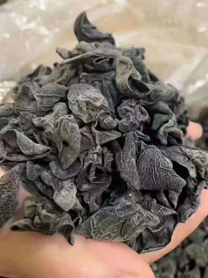 [热卖中]干黑木耳，好品质干木耳，干度卖相特别好