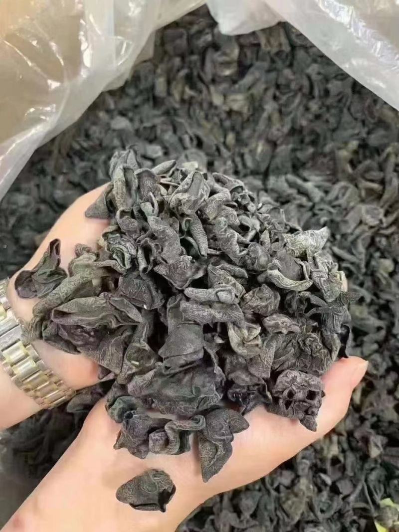 [热卖中]干黑木耳，好品质干木耳，干度卖相特别好