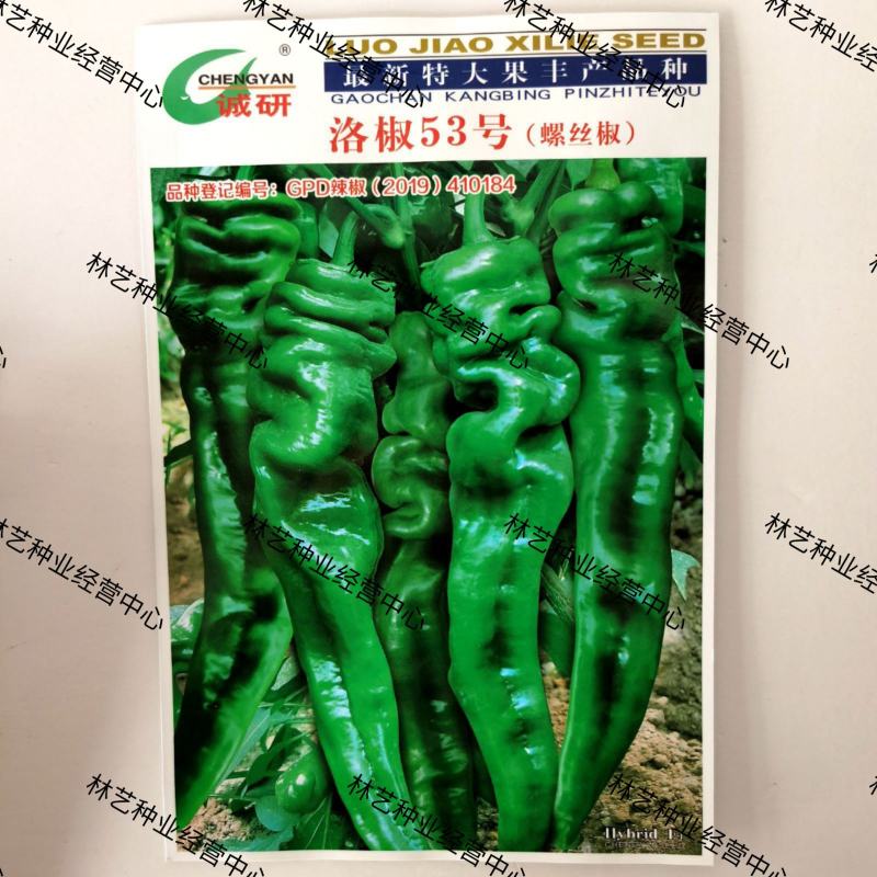 诚研洛椒53号特大果螺丝椒种子高产抗病毒病超辣坐果大田辣