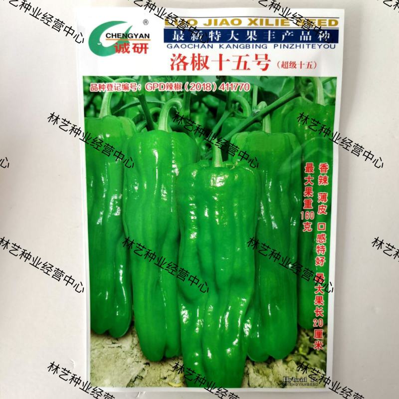 洛椒15号薄皮椒种子虎皮皱皮泡椒芜湖椒苏椒辣椒种籽高产微