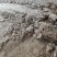广东鸡粪养殖基地直供诚信经营货源充足量大从优需要电话联系