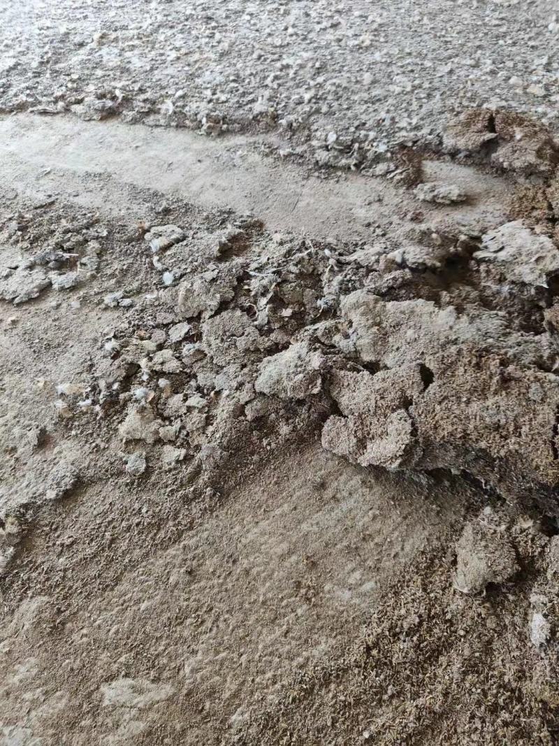 广东鸡粪养殖基地直供诚信经营货源充足量大从优需要电话联系
