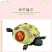网红七彩小乌龟炫彩小乌龟包活邮送龟粮地摊夜市公园广场热销