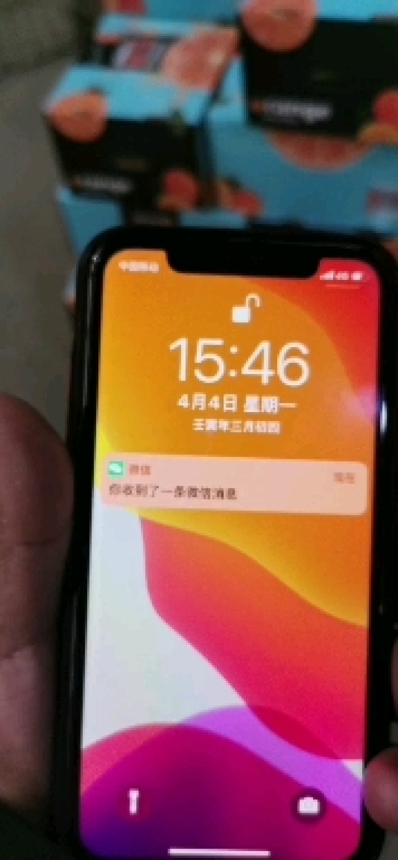 中华红橙血橙长虹脐橙九月红果冻橙基地果园直供保质保量