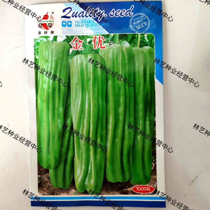 金优106薄皮辣椒种子大果型杂交辣椒种抗病抗逆性强青果