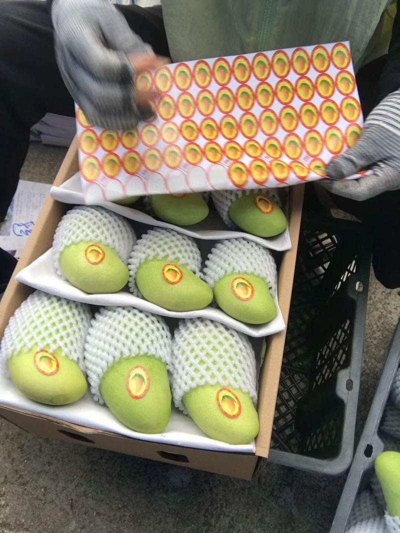 海南三亚热带水果金皇台农贵妃芒果支持电商社区团购