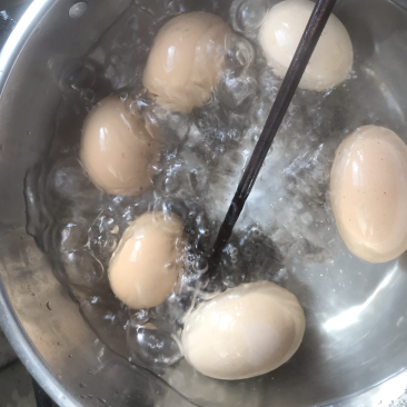 云南正宗土鸡蛋🥚…………一年四季可以供货！