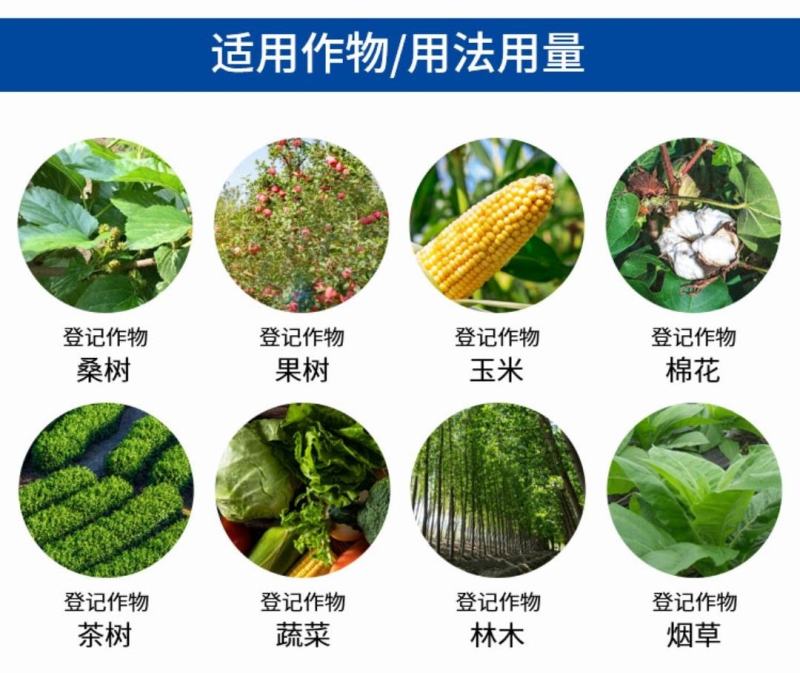 40%辛硫磷500ml装辛硫磷