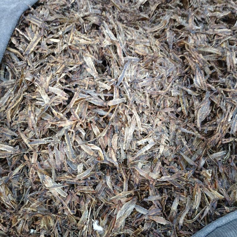 沪地龙精品全开无泥