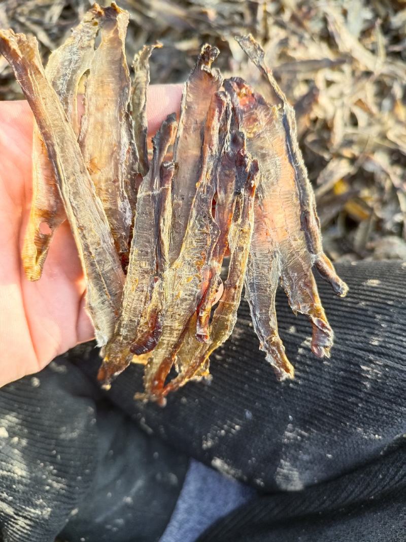 沪地龙精品全开无泥