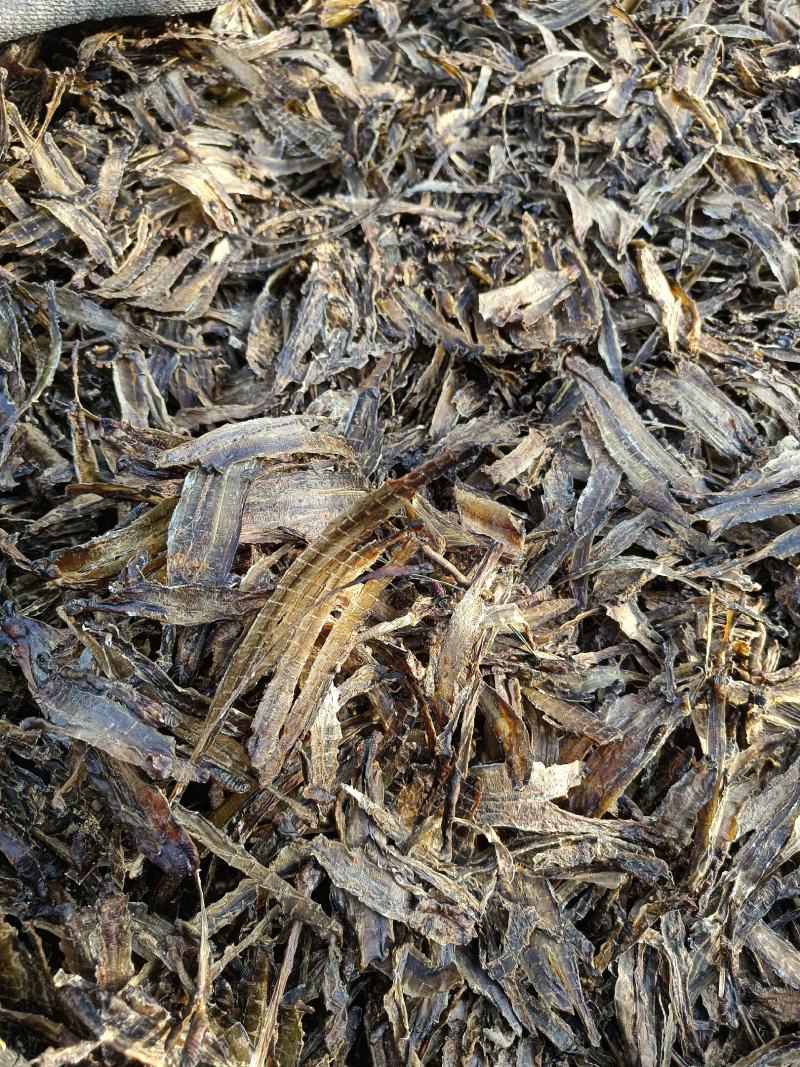 沪地龙精品全开无泥