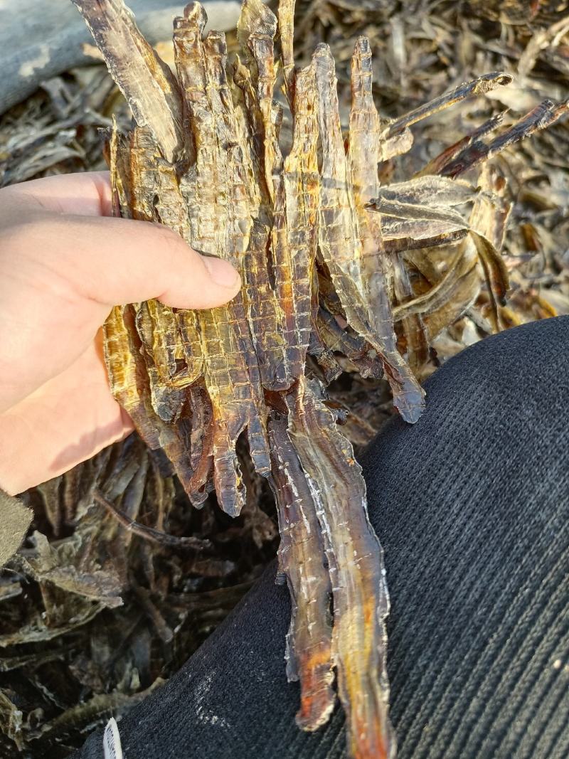 沪地龙精品全开无泥