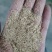 米糠壳糠稻壳粉0.8-1.2-2.5各种规格米厂直供