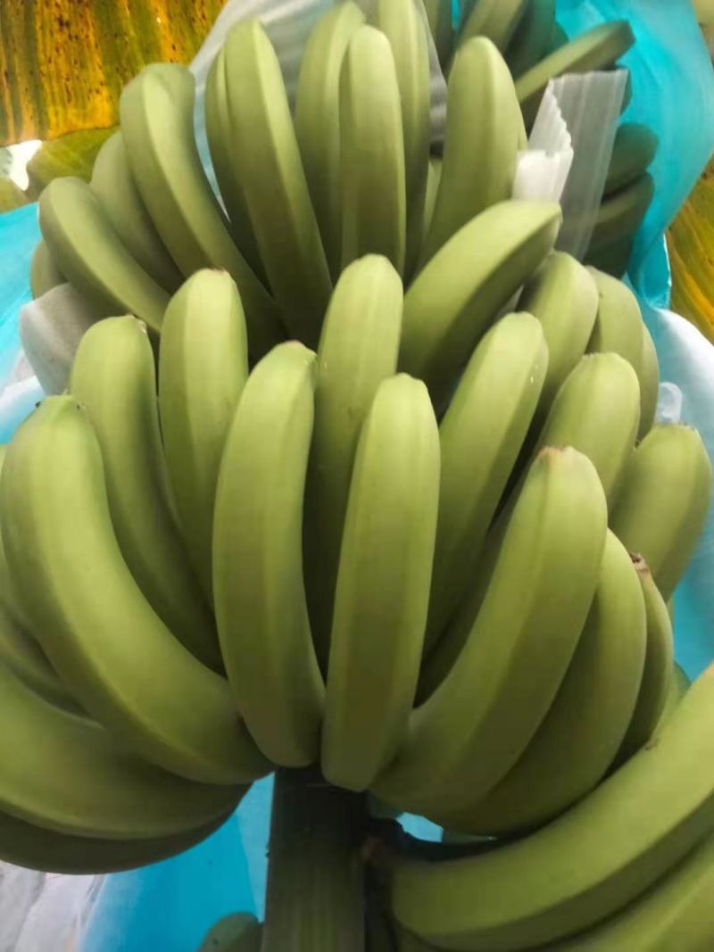 便宜货欢迎咨询