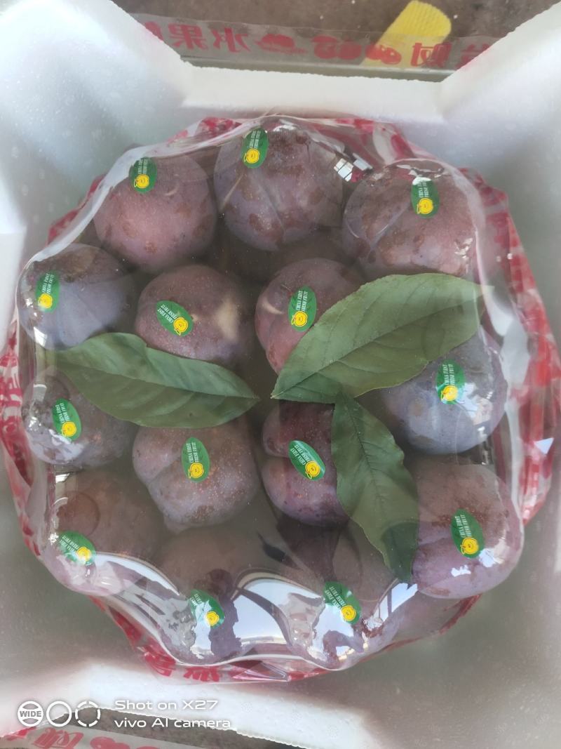 辽宁大连大棚李子现在开始大量上市了