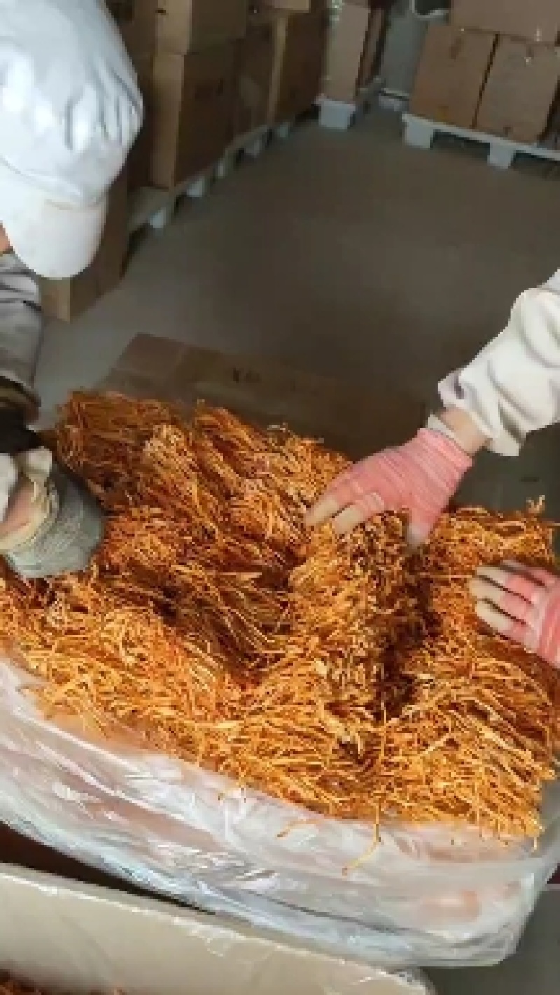 【地理标志产品】箱排虫草花适合回去打小包装损耗小性价比高