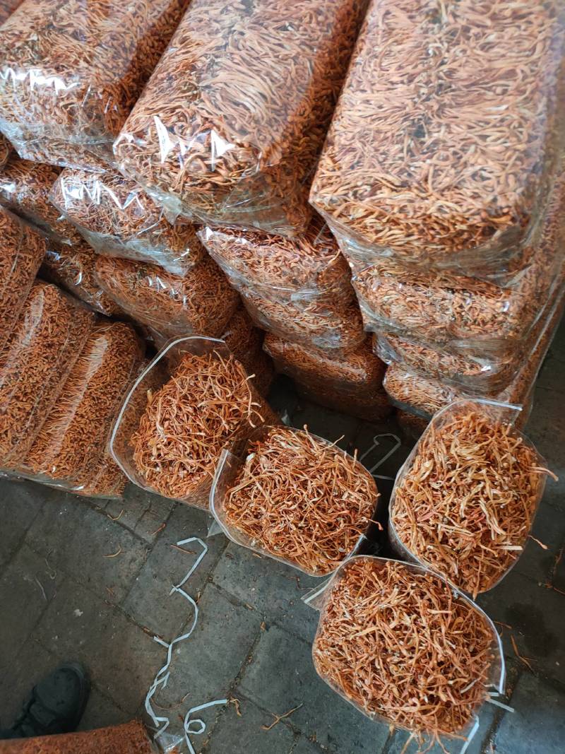 【地理标志产品】箱排虫草花适合回去打小包装损耗小性价比高
