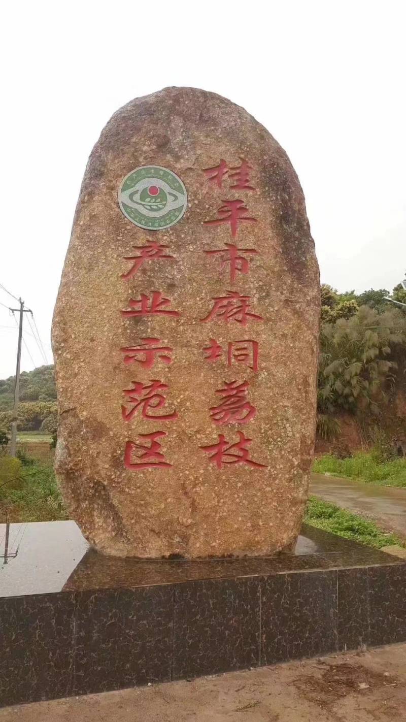 荔枝