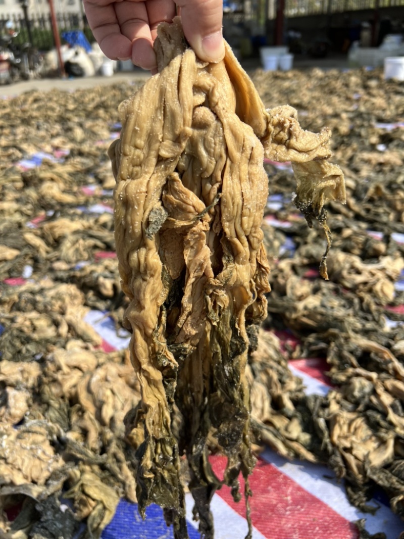 咸菜盐菜外婆菜梅干菜揪耳菜心芥菜酱菜酱腌菜