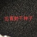 出售2025年新射干种子，手工采收纯新包发芽。