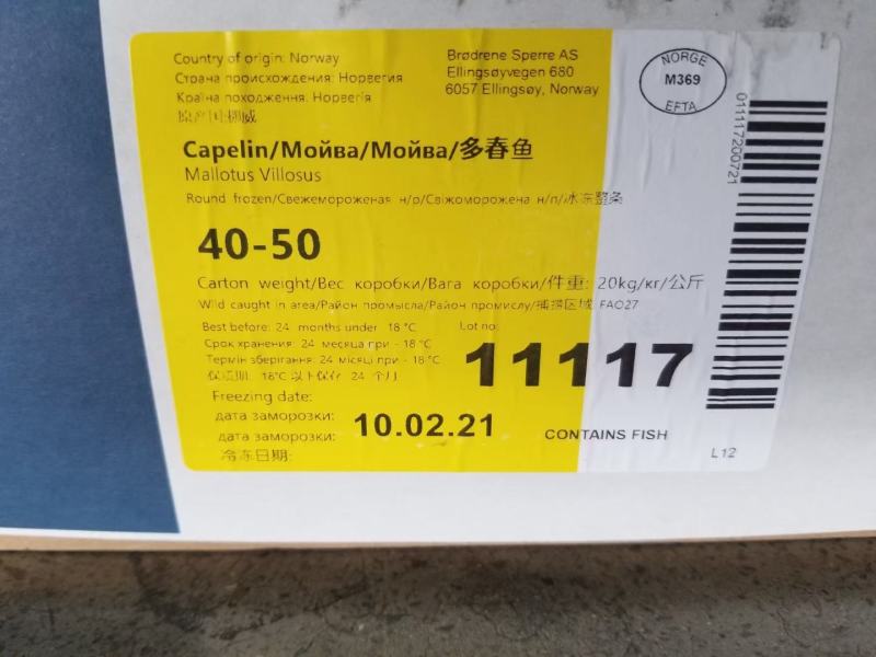 多春鱼，带籽率高，大量有货，挪威进口的原料板