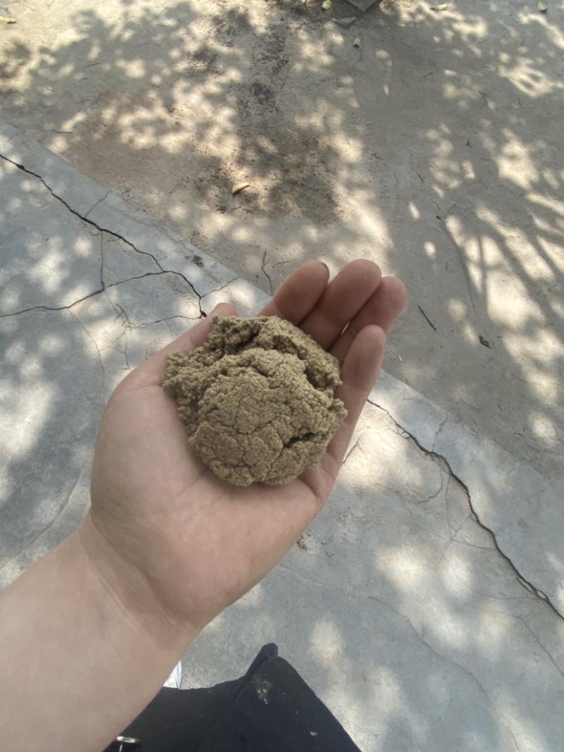 三年陈鱼子绒，艾绒黄金艾绒鱼子绒。现货10吨