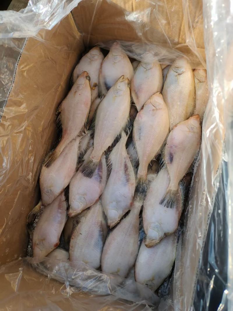 50/100克长脖，偏口鱼，个头匀称，真正的本地货