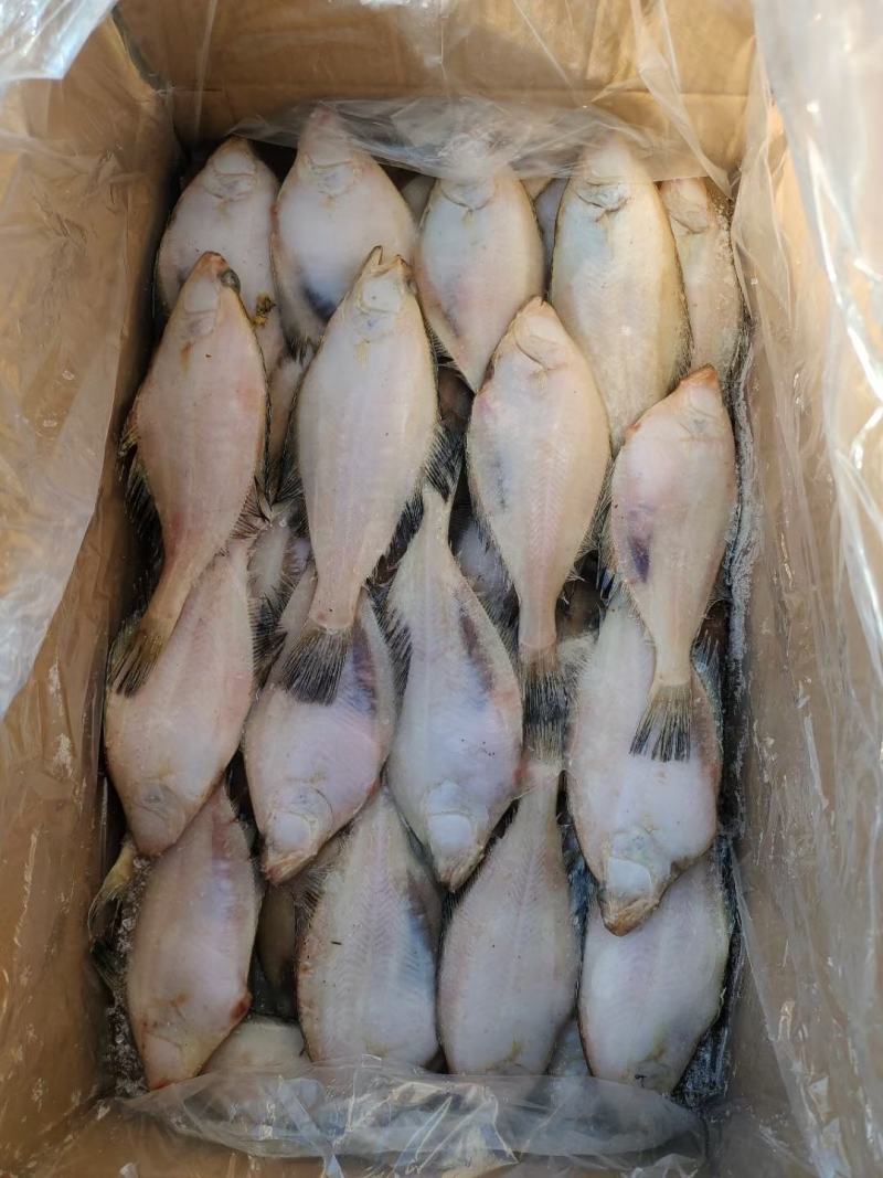 50/100克长脖，偏口鱼，个头匀称，真正的本地货