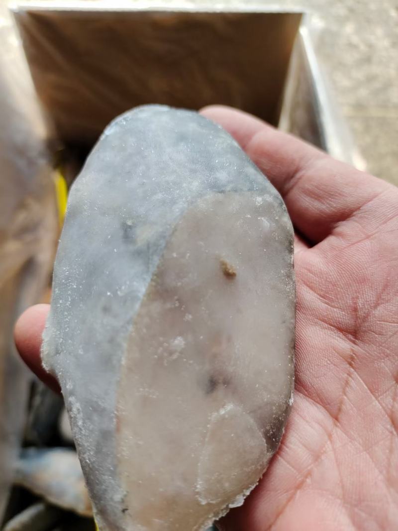 鲅鱼段，一箱十斤，保护冰衣，食堂快餐自助餐用都可以
