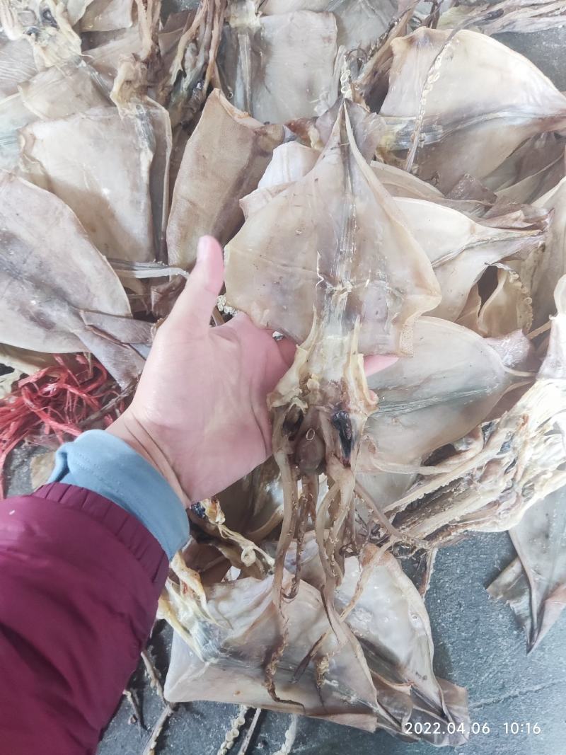鱿鱼干纯肉淡干带头无头鱿鱼干